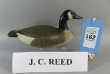 J. Corb Reed Canada Goose