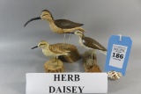 3 Herb Daisey Shorebirds