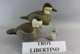 Pr. Troy Libertino Ruddy Ducks