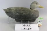Mark Daisey Black Duck Gunning Decoy