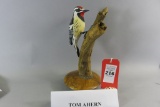 Tom Ahern Woodpecker