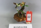 Pr. H R Buckwalter Humming Birds
