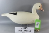 John Holloway Snow Goose