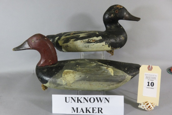 2 Drake Canvasbacks by Unknown Maker