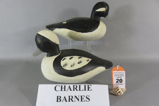 Pair Charlie Barnes Buffleheads