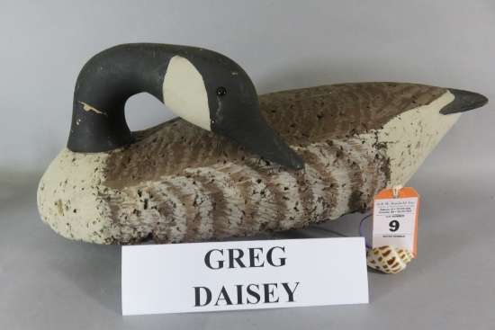 Greg Daisey Preening Canada Goose