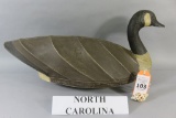 North Carolina Canada Goose