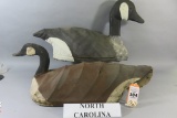 2 North Carolina Canada Geese