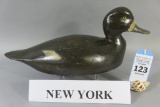 Full Size New York Bluebill