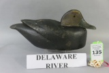Delaware River Black Duck