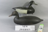 2 New Jersey Decoys