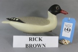Rick Brown Gull