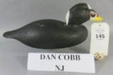 Dan Cobb Scoter