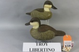 Pr. Troy Libertino Ruddy Ducks