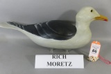 Rich Moretz Gull