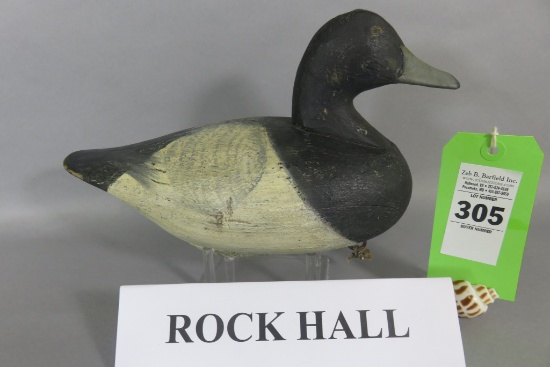 Rock Hall Bluebill