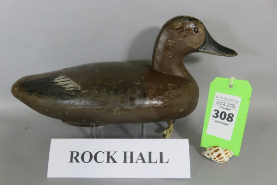 Rock Hall Hen Canvasback