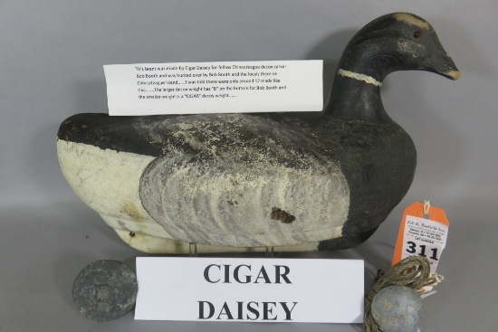 Cigar Daisey Brant