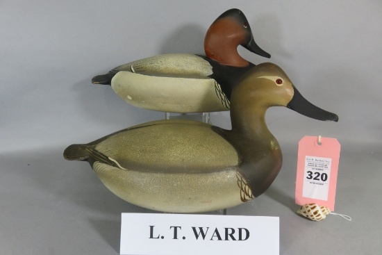 Pr. L. T. Ward Canvasbacks