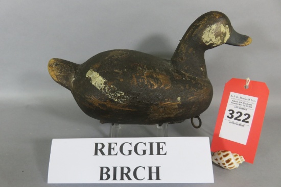 Reggie Birch Ruddy Duck