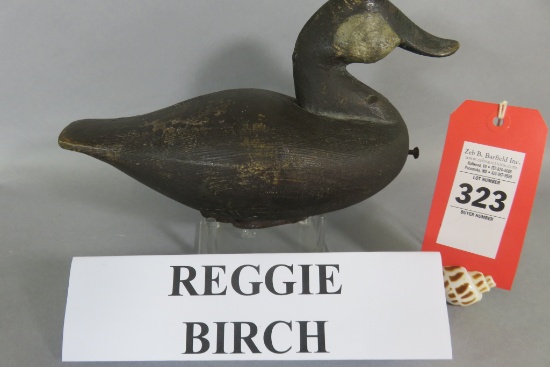 Reggie Birch Ruddy Duck