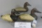 3 Coakley Canvasbacks