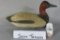 Josiah Travers Canvasback