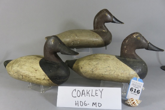 3 Coakley Canvasbacks