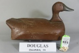 Douglas Black Duck