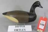 Dipper Ortley Brant