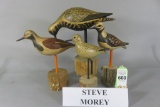 4 Steve Morey Shorebirds
