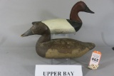 Pr. Upper Bay Canvasbacks