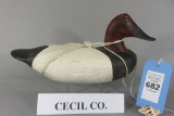 Cecil Co., MD Canvasback