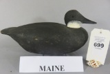 Undersized or Baby Maine Loon