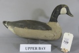 Upper Bay Canada Goose