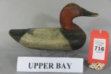 Upper Bay Canvasback