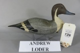 Andrew Loder Pintail