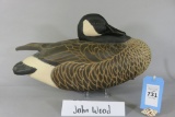 John Wood Canada Goose