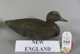 New England Black Duck