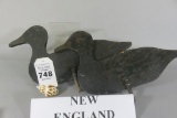 Pr. New England Black Ducks