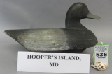 Hooper's Island, MD Bluebill