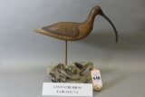 Gentry Childress Long Billed Curlew