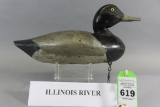 Illinois River Bluebill