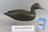 Delaware River Black Duck