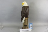 Craig Fulcher Eagle