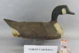 North Carolina Canada Goose