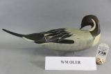 William Oler Pintail