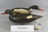 Pr. William Oler Swimming Mergansers