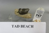 Mini Tad Beach Black Duck