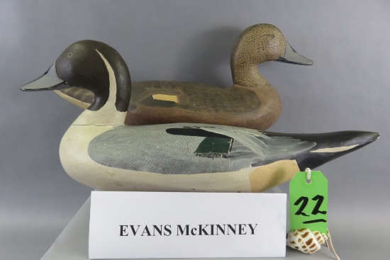 Pr. Evans McKinney Pintails, S&D 1985, Hairline in the Neck of the Drake